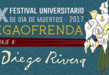 Concurso universitario de fotografía, Día de muertos, UNAM. concurso foto unam-2017