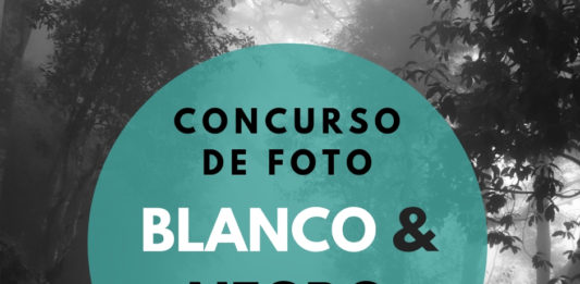 Monoawards, Premios a la Fotografía Monocromática concurso de foto blanco y negro