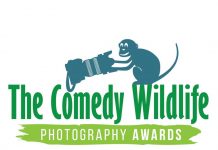 Concurso internacional de fotografía The Comedy Wildlife concurso de foto comedy wildlife photo