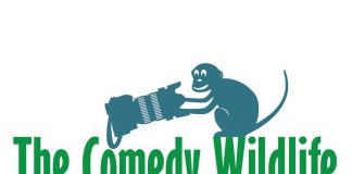 Concurso internacional de fotografía The Comedy Wildlife concurso de foto comedy wildlife photo