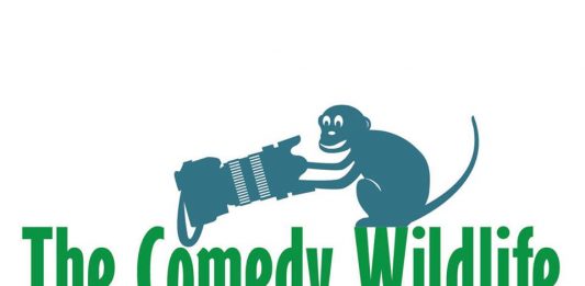 Concurso internacional de fotografía The Comedy Wildlife concurso de foto comedy wildlife photo