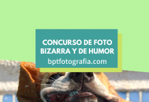 Concurso de foto bizarra y de humor, FotoClub Darmstadt concurso de foto bizarra FotoClub Darmstadt