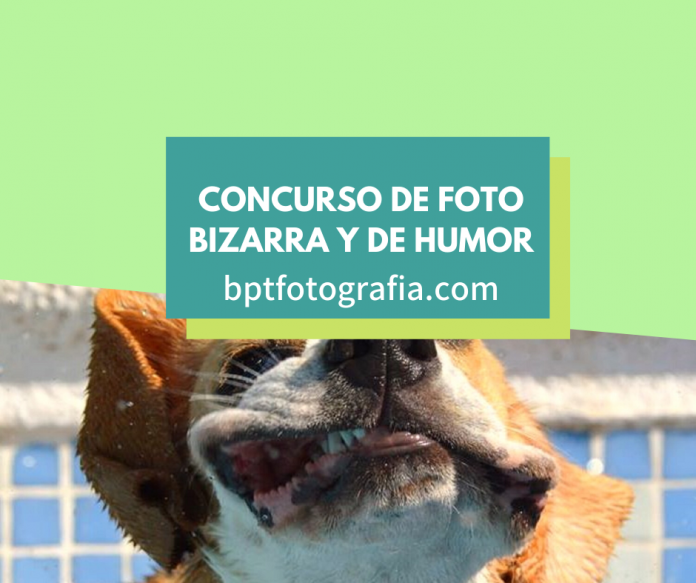 concurso de foto bizarra FotoClub Darmstadt