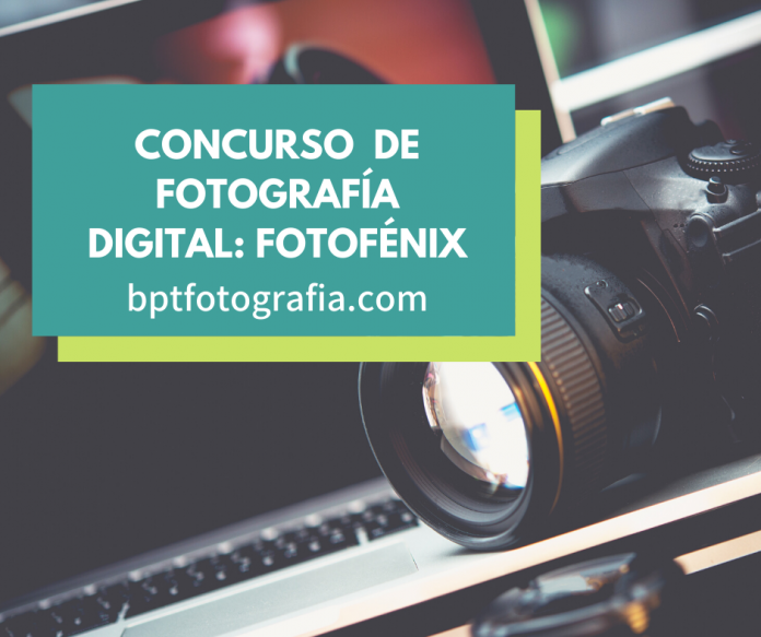 concurso de fotografía digital FOTOFÉNIX