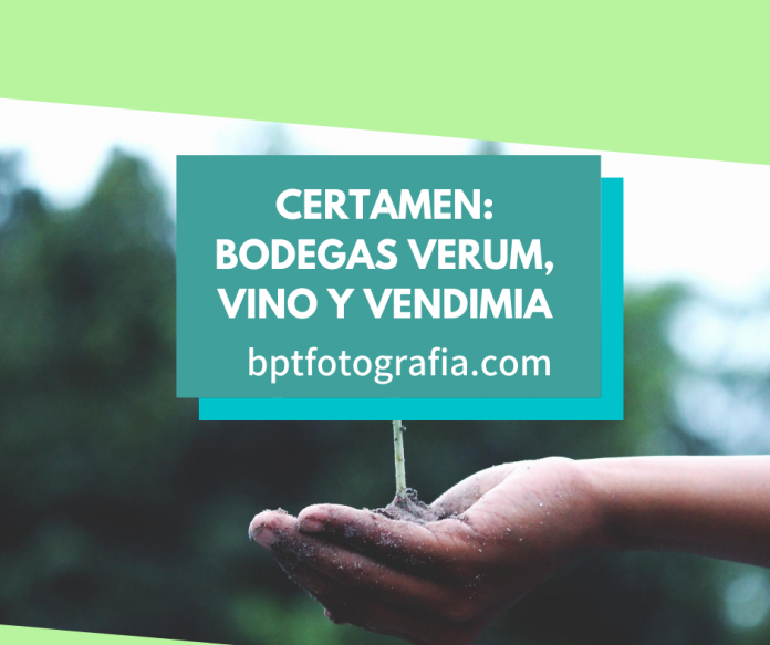 Bodegas Verum, Vino y Vendimia