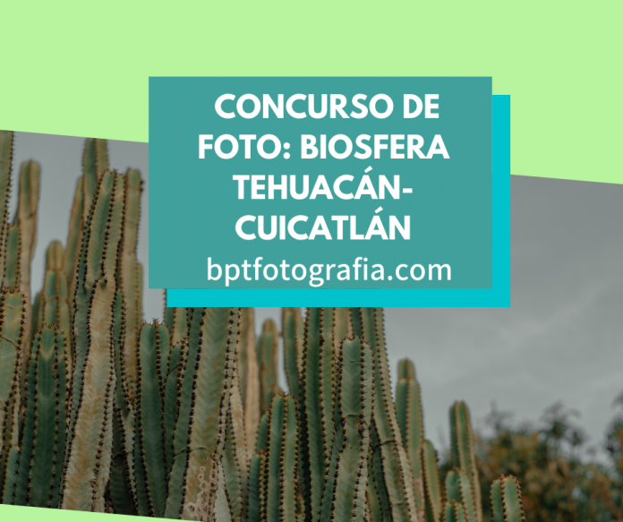 concurso foto biosfera Tehuacán-Cuicatlán