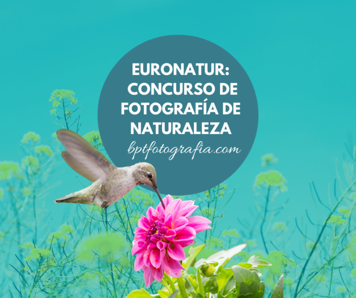 EuroNatur concurso de fotografía de naturaleza